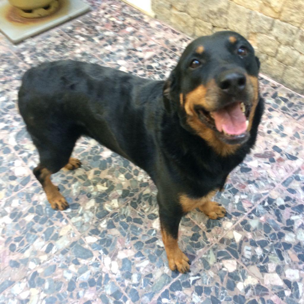 Foto da Odalisca